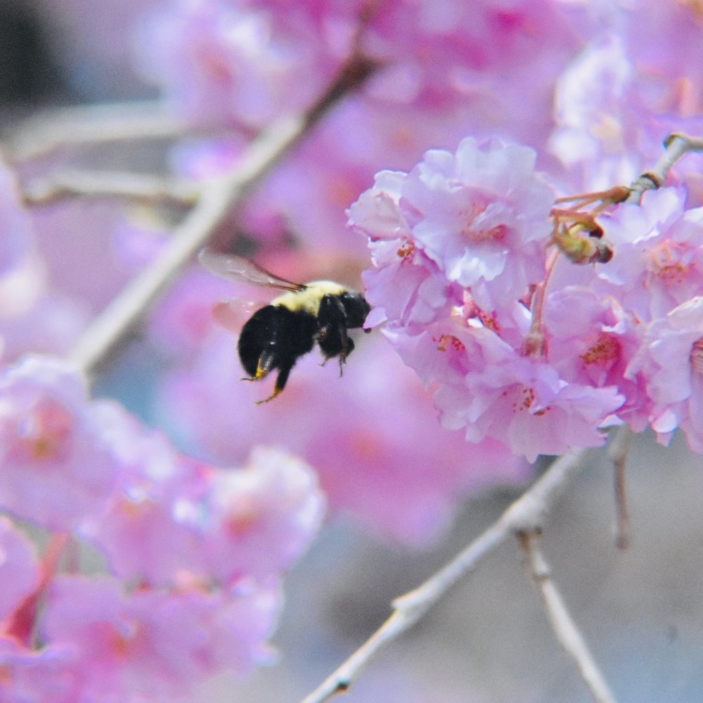 Meet your Posher, Clara